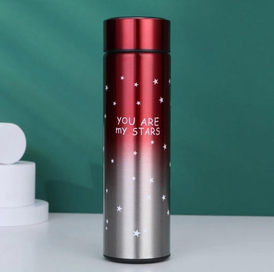 Stainless steel water bottle